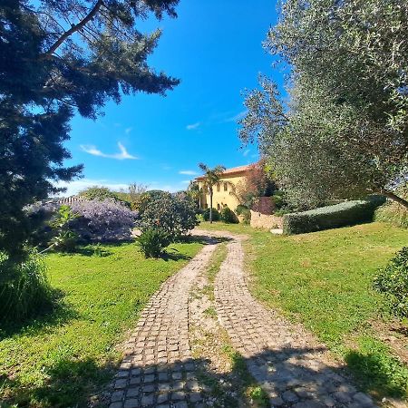 Rez De Jardin Villa Presqu'Ile De Giens Hyères Екстериор снимка