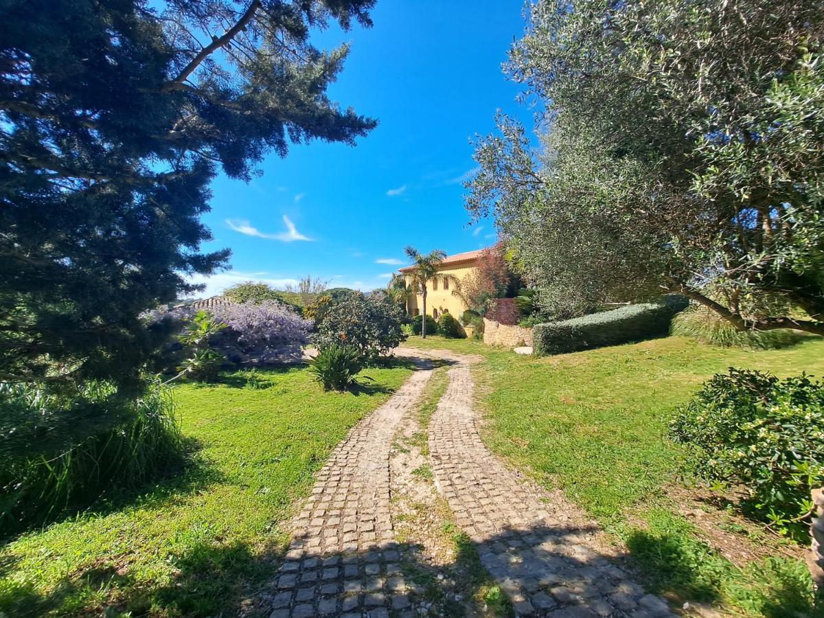 Rez De Jardin Villa Presqu'Ile De Giens Hyères Екстериор снимка