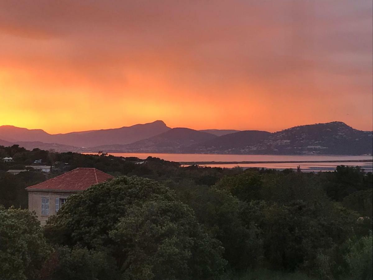 Rez De Jardin Villa Presqu'Ile De Giens Hyères Екстериор снимка